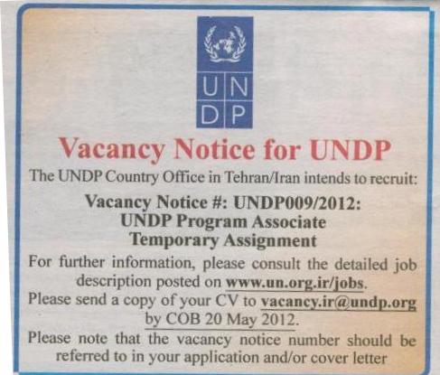 UNDPprogram associate temporary assignment